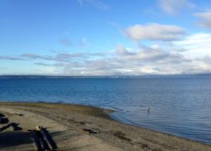 carkeek